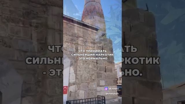 Нам внушили ❗
