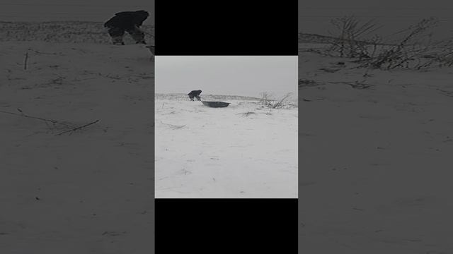 VID_20241231_100653.mp4