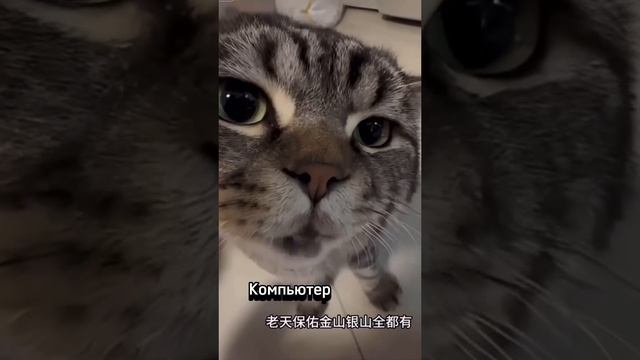 когда поставил комп на китайский язык 🤣