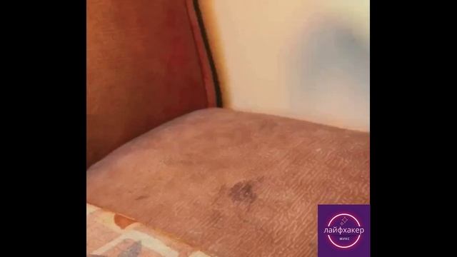 Способ, который поможет очистить любой диван
