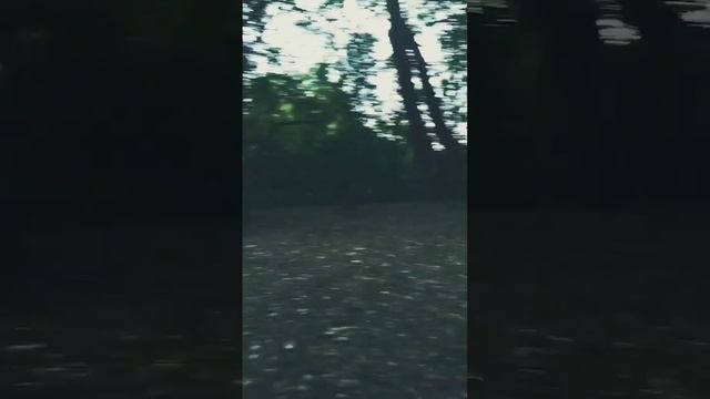 1000000219.mp4