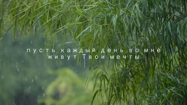 VID-20250106-WA0051.mp4