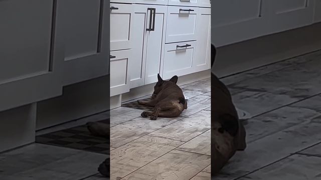 1000070613.mp4