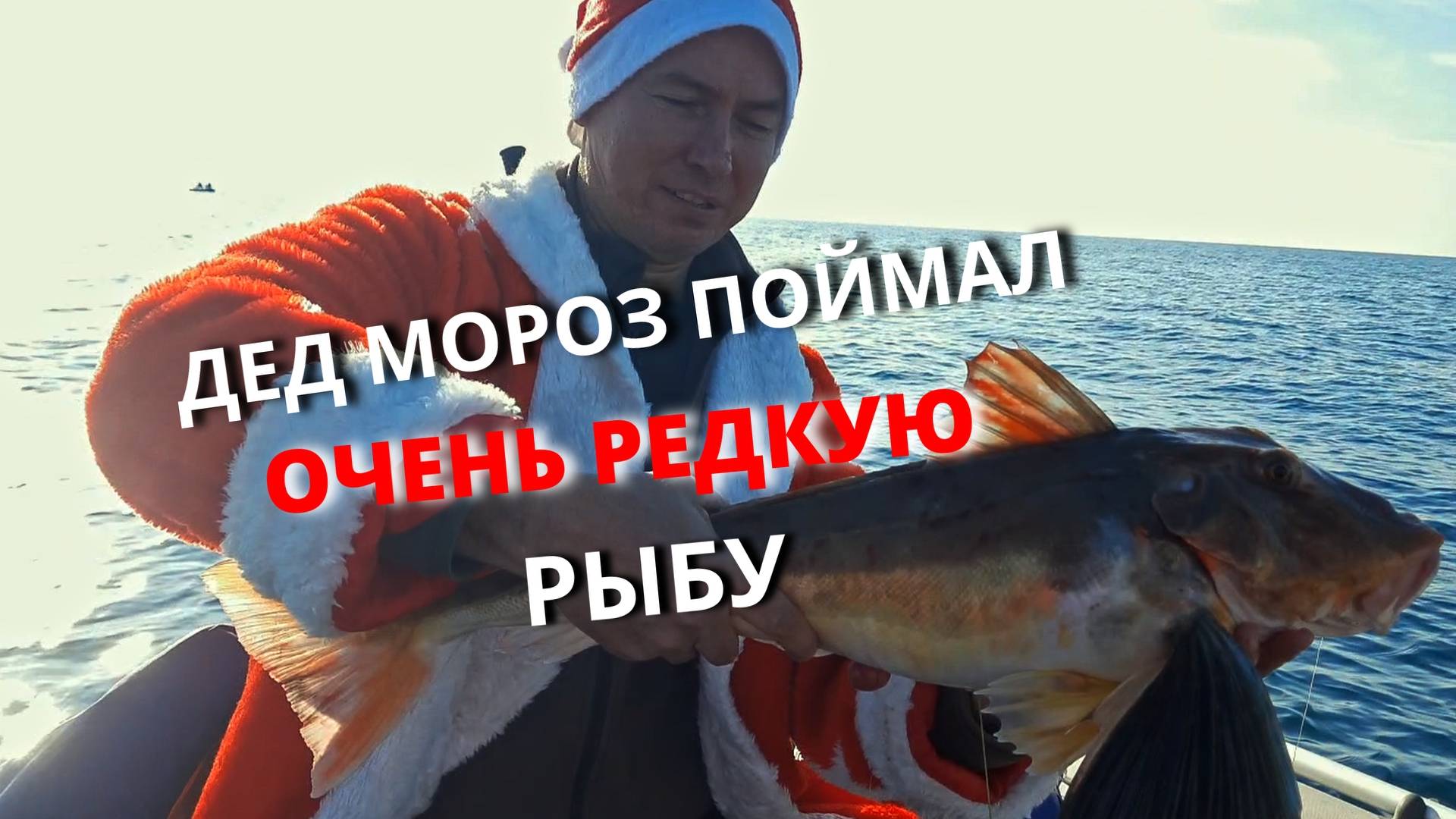 Дед Мороз поймал большую, очень редкую рыбу и отпустил ее на волю.