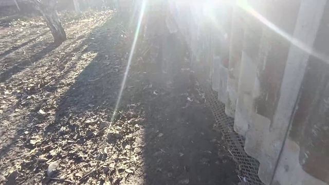 Готовимся к Новому Году 🍷🌲🎈Курочки радуют🥚🥚🥚 Кто то заболел а кто то работает😏 Дом в станице