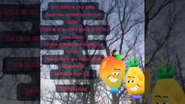 VID_20250107_135032_908