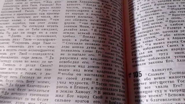 Начало 2025
