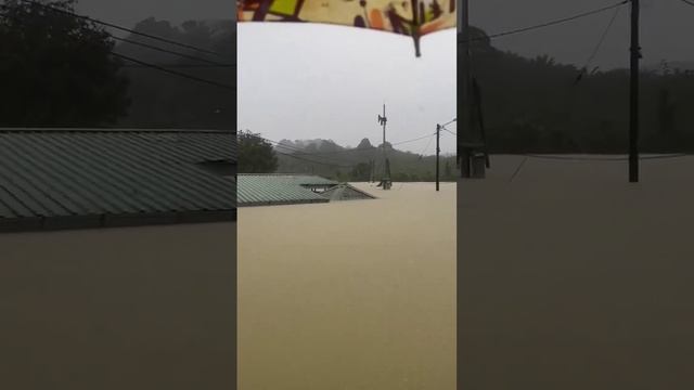 Наводнение в штате Келантан (Малайзия, 29.11.2024).