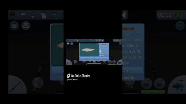 ЧАВЫЧА ТРОФЕЙ НА ОХОТСКОМ МОРЕ В РЕАЛЬНАЯ РЫБАЛКА 2