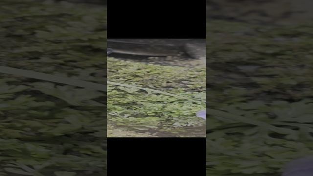 1000009585.mp4