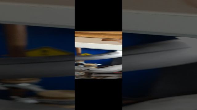 1000069464.mp4