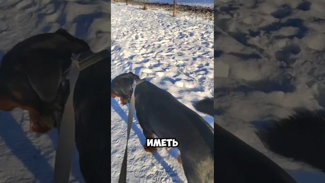 1000014369.mp4