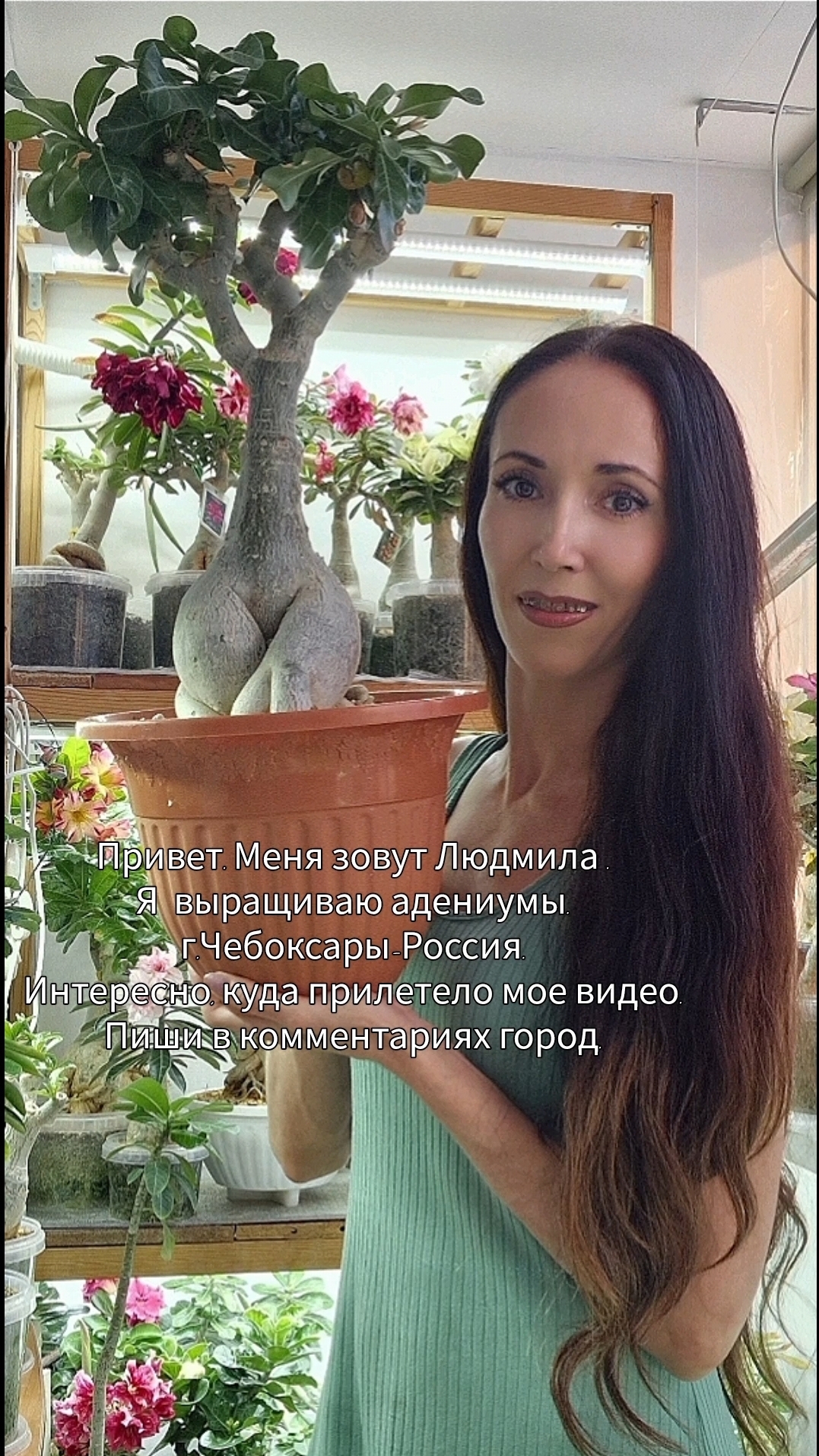 Привет.Меня зовут Людмила .Я  выращиваю адениумы.г.Чебоксары-Россия.Пиши в комментариях свой город🫶