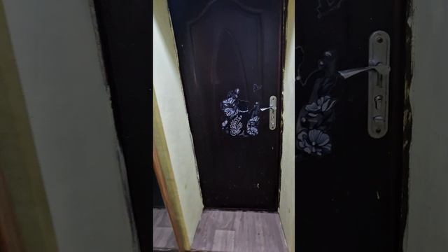 Бутлерова 210, обзор дома