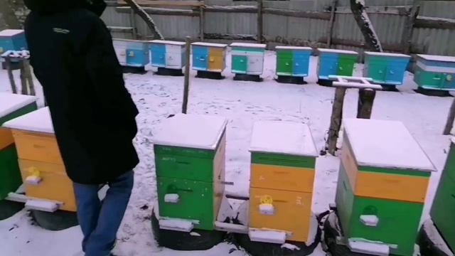 VID_20250107_112821_702.mp4