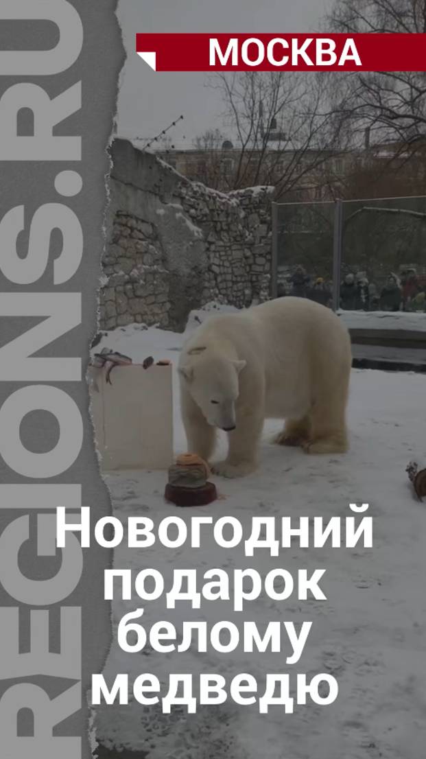 Среди подарков на Новый год: рыба, тыква, свекла и ледяной торт