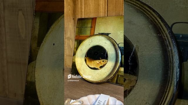 Руки помнят. Яркая,эффектная,авторская мебель,картины,декупаж,свечи,керамика ручной работы.RUTUBE.