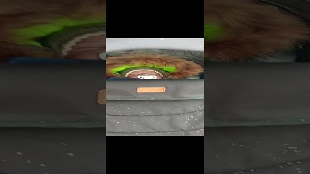 07-01-2025