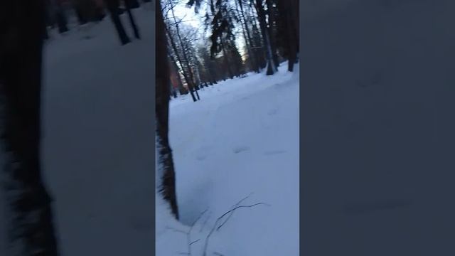 VID-20250107-WA0026