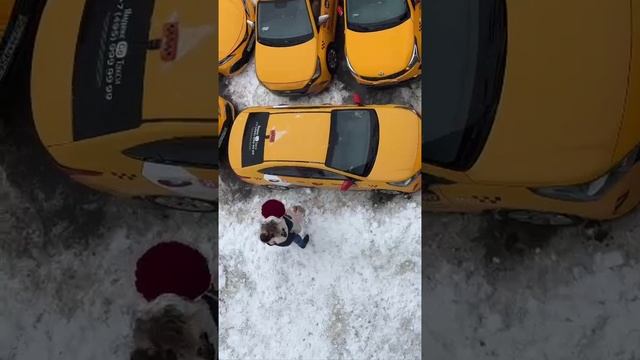 🥰 Самое необычное предложение руки и сердца сделал москвич своей девушке