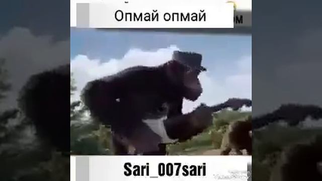 15 января 2019 г.