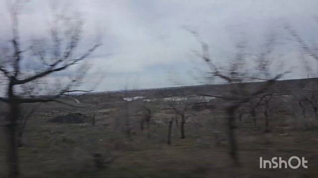 Едем за грибами