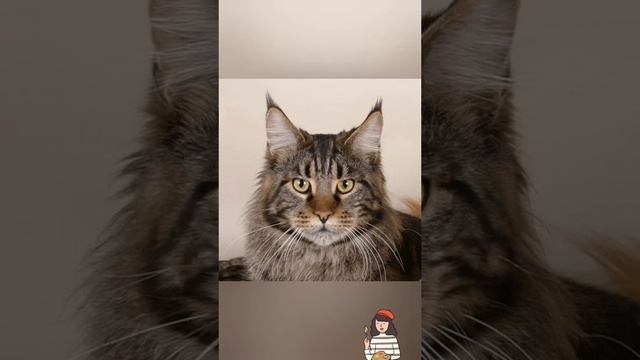 Учусь рисовать 😃🤭
