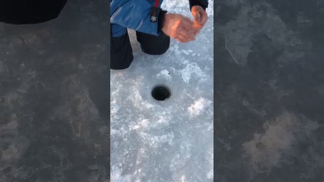 попалась)))#щука#06.01.2025