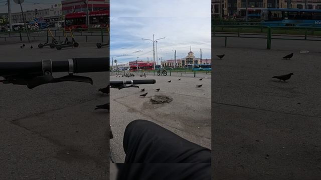 Домой через вокзал. #велосипед  #тудысюдынавелосипеде