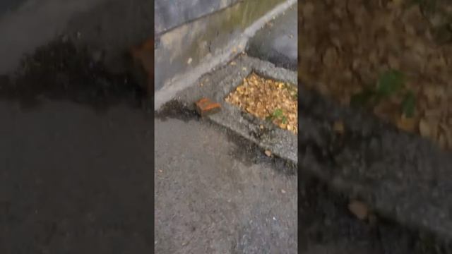 Как мы заходим домой.
