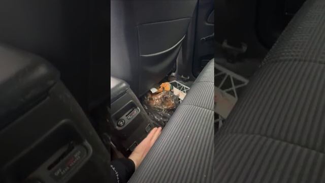 1000020306.mp4