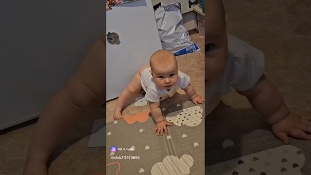 Спайдер малыш