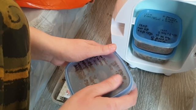 Посвещение в таинства Совиного Дола совпало с началом половодья.