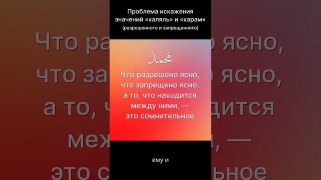 Халяль и харам: правильное понимание  #халяль  #харам  #Коран  #сунна