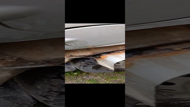 Арки сгнили на ниве