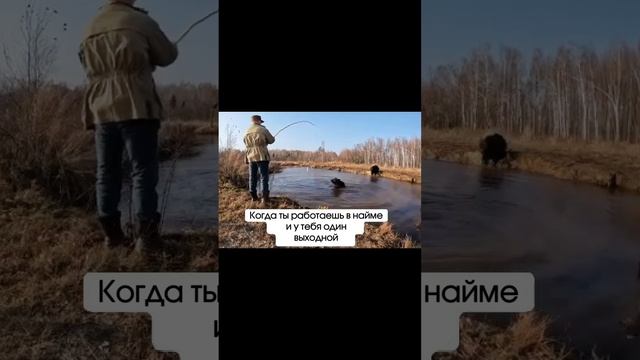 Бесплатный разбор твоих финансов и бизнеса в шапке профиля