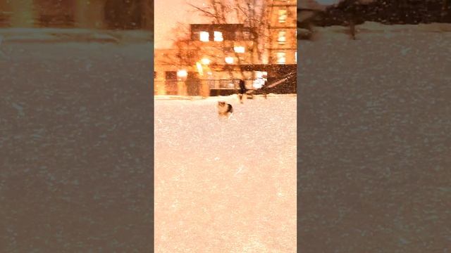 АО Тея - зима, холода, диски!