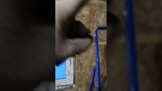 Для чего нужна контробрешётка в каркасном доме.