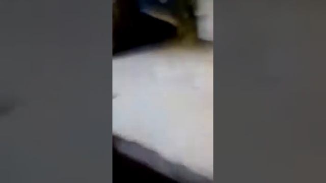 тихо всем тихо не мешайте мне стряпать