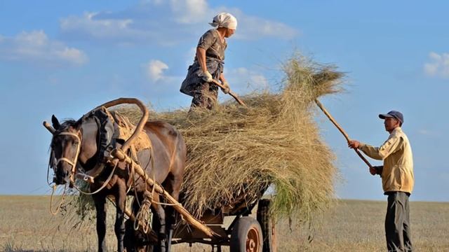 Родная моя сторона