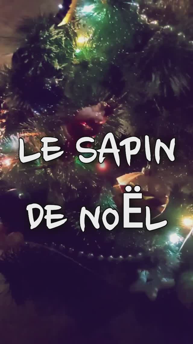 Какими бывают рождественские ёлки / le sapin de Noël #французскийдляначинающих #французскийонлайн