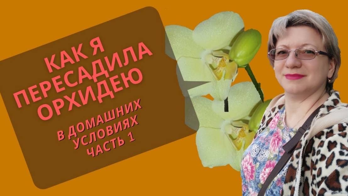 КАК Я ПЕРЕСАДИЛА ОРХИДЕЮ | подробное видео