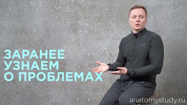 Зачем надо тренеру оценивать опорно-двигательный аппарат у клиента