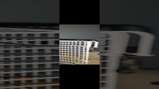 ааааа хомяк ночью