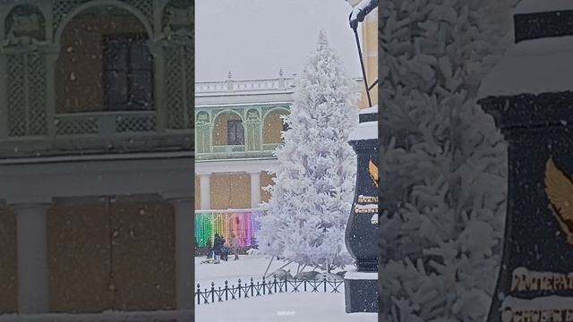 Рождество. Павловский парк
