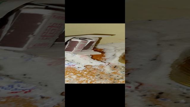 вот это поворот #нашемтвиемышей