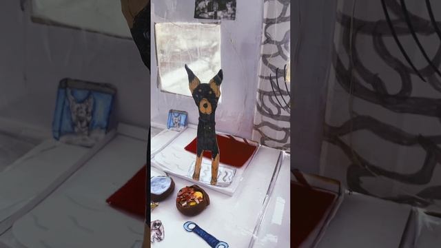 Кормёшка моих собак