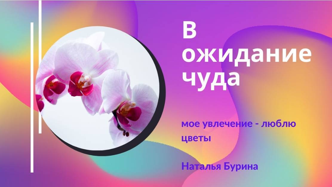 В ожидании чуда    Что произойдет с пеньком. Надеемся вырастить детку. Эксперимент начало.