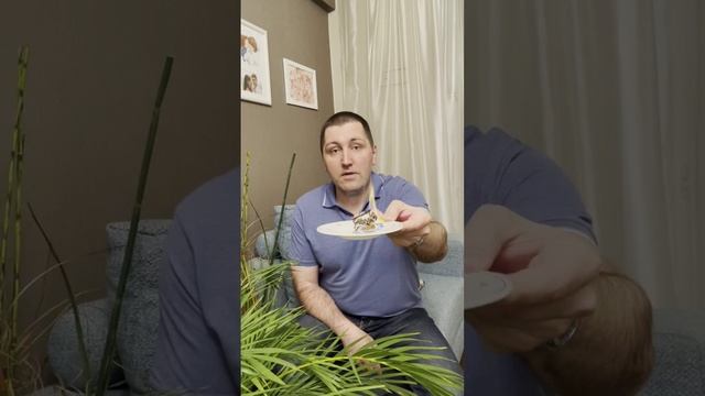 Лучшая практика работы с обидой! Проверено!