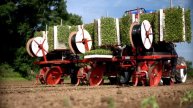 Our Tomato Story | Heinz Tomato Ketchup